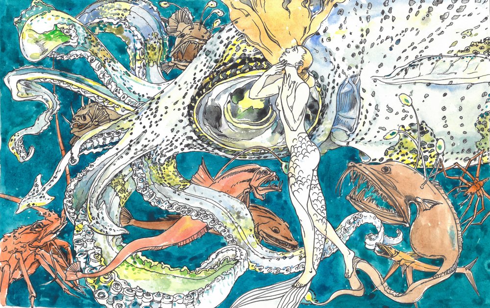 Tiefsee-Oktopus-Aufstieg von Andrii Kutsachenko