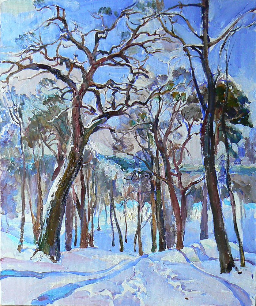 Sonniger Winterwaldweg von Andrii Kutsachenko