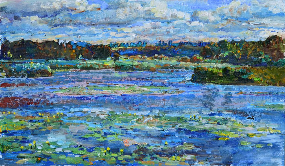 Ruhiger See mit Seerosen von Andrii Kutsachenko