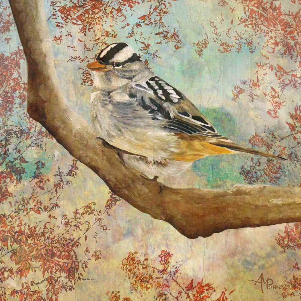 Herbstfunkeln von Angeles M. Pomata