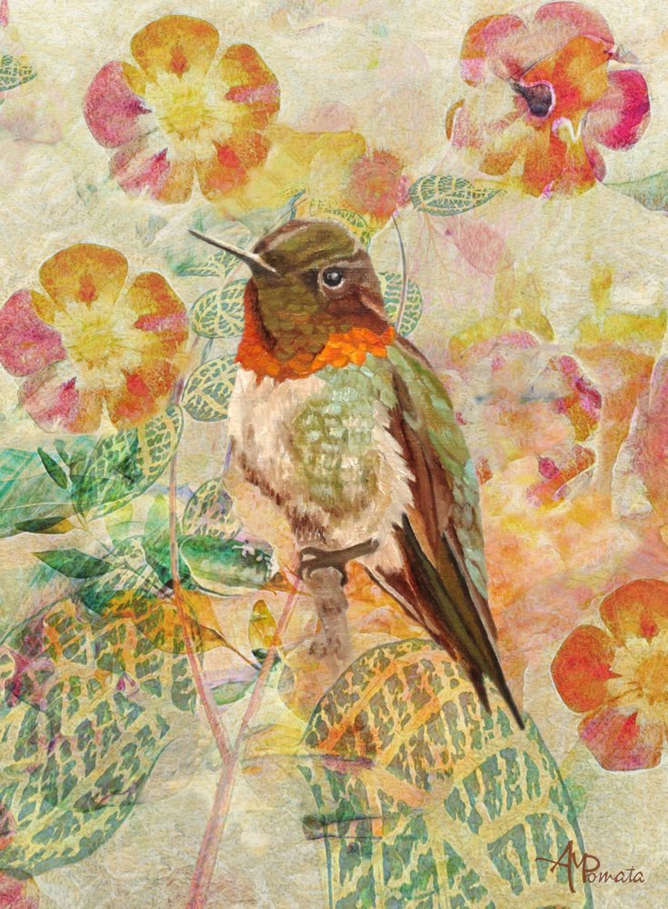 Kolibri und Blüten von Angeles M. Pomata