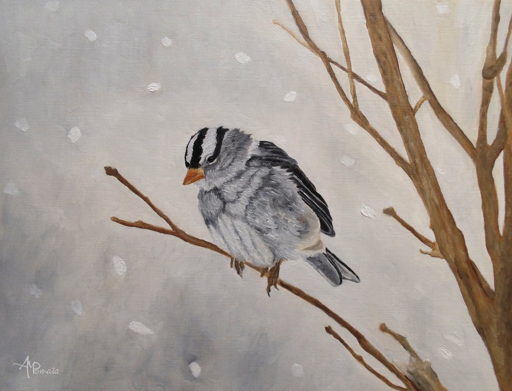 Ruhiger Winterspatz von Angeles M. Pomata