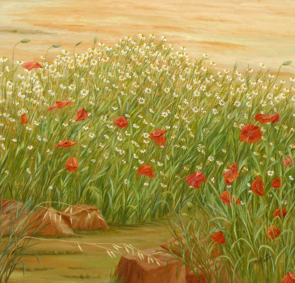 Sommermohn- und Gänseblümchenfeld von Angeles M. Pomata