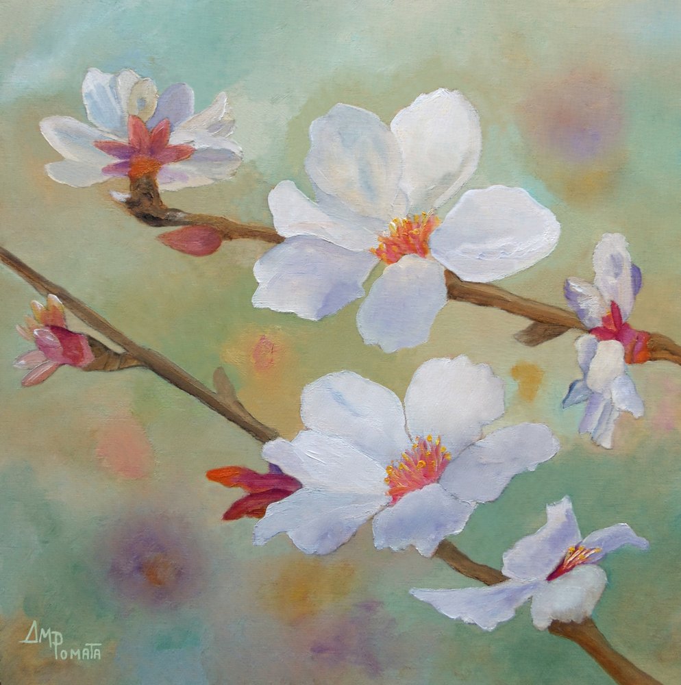 Weiße Mandelblüten von Angeles M. Pomata