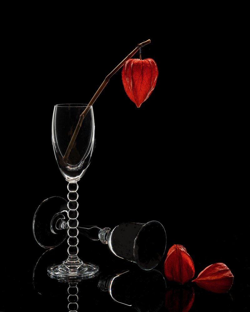 Glas und Physalis Stillleben von Anna Qu