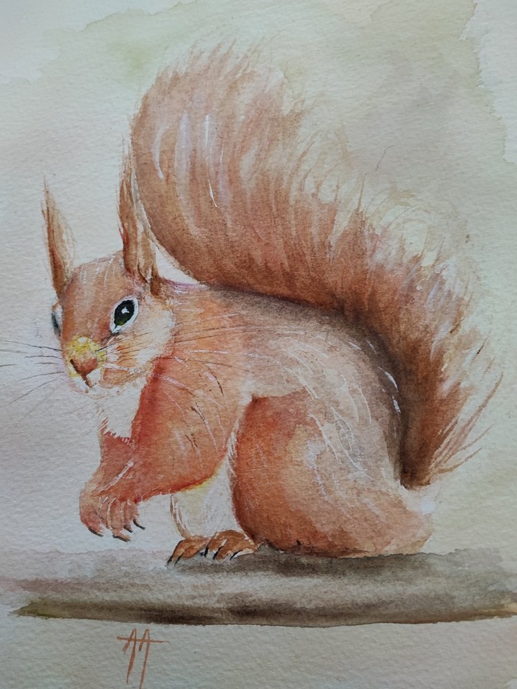 Niedliches Rotes Eichhörnchen von Annette Armitage