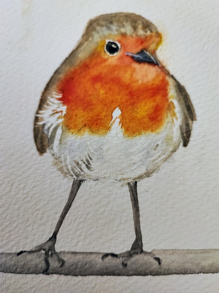 Niedlicher Aquarell-Rotkehlchen von Annette Armitage