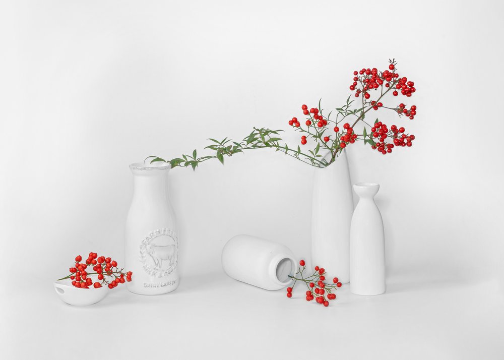 Minimalistische Rote Beerendarstellung von Annie Poreider