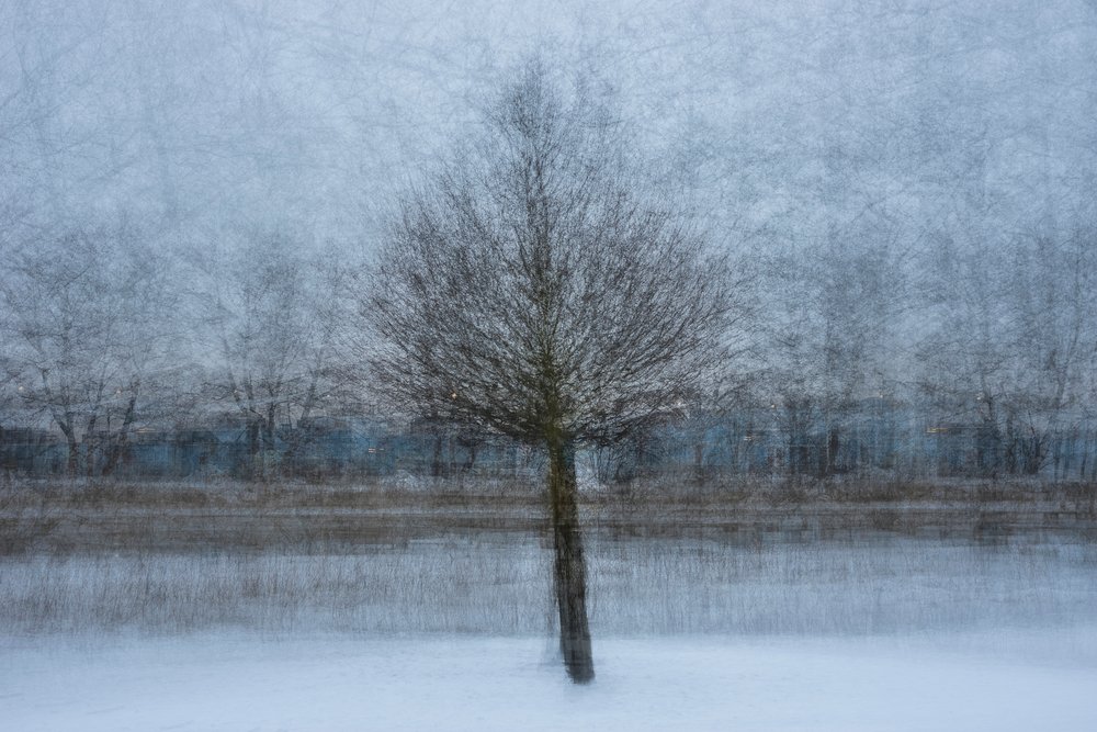 Wintertraum Baum von Arne Östlund