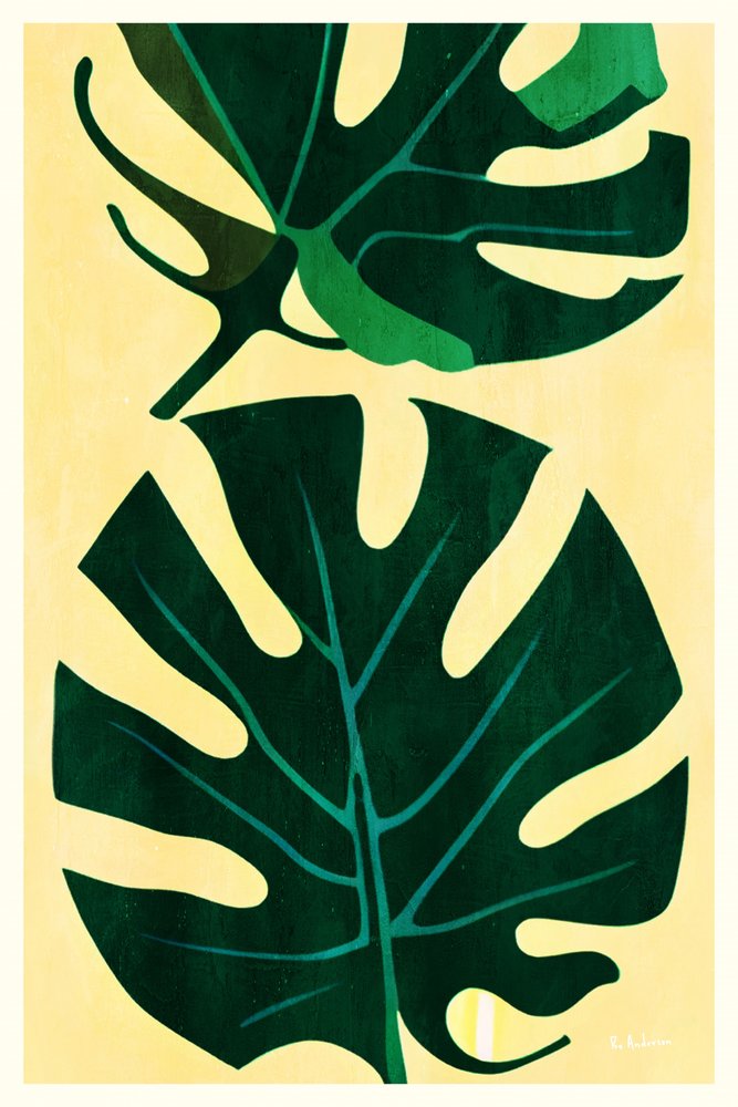 Tropische Monstera-Blätter von Bo Anderson