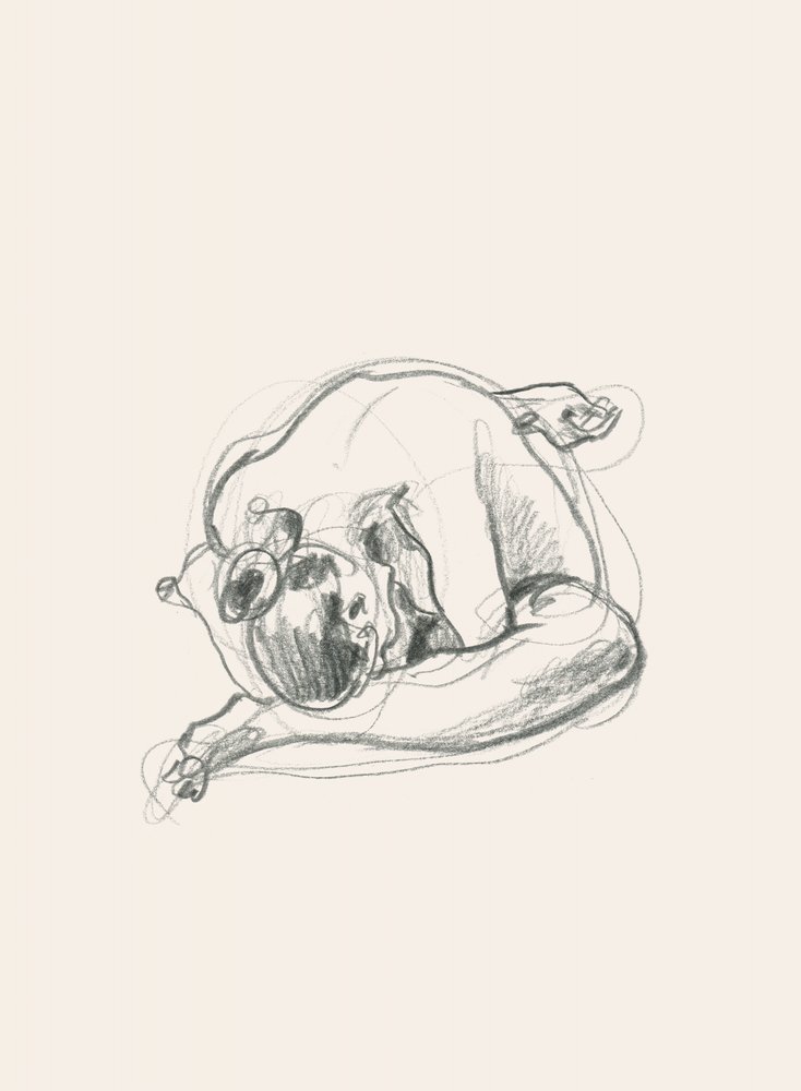 Ruhige gekrümmte Figur von Catalina Somolinos