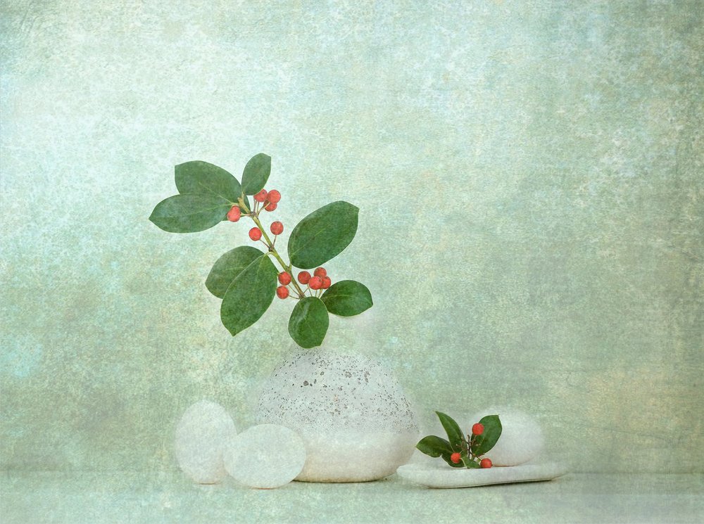 Natürlicher Beerenstein Zen von Catherine Wang