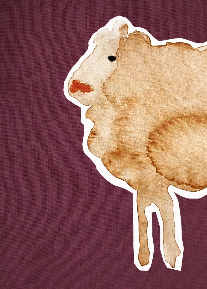 Schaf Maroon1 von Christina Misuro