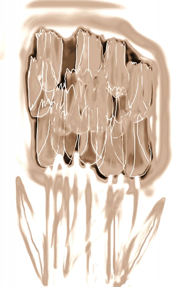 Zarte Sepia-Blumen von Christina Sillen