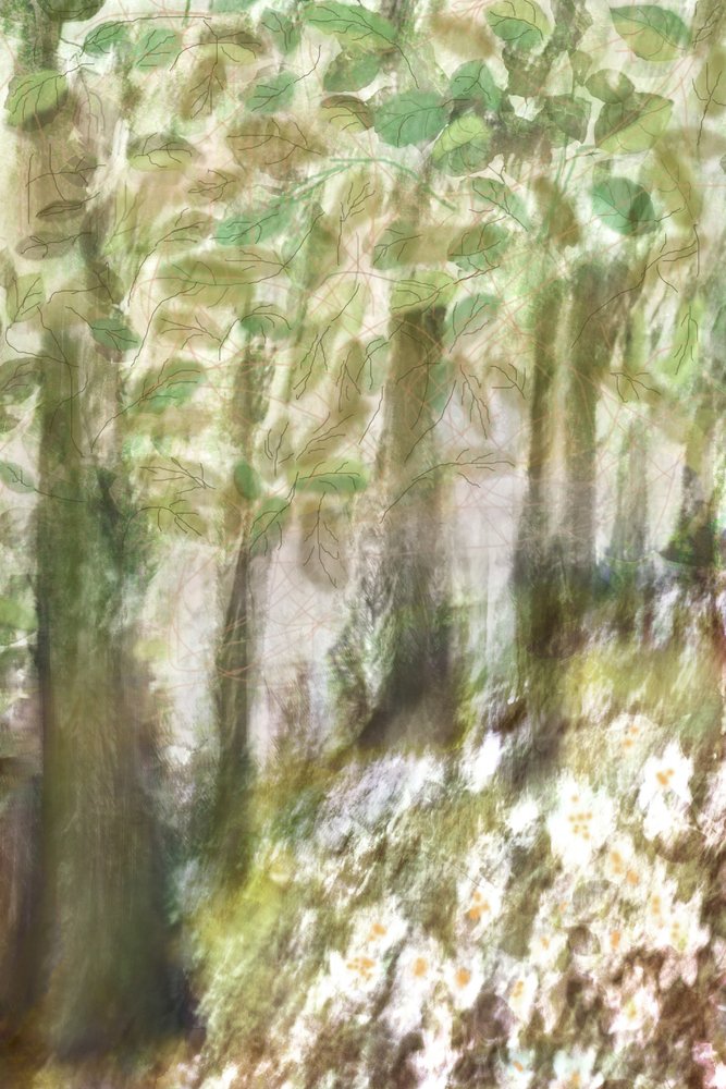 Träumige Waldblumen von Christina Sillen