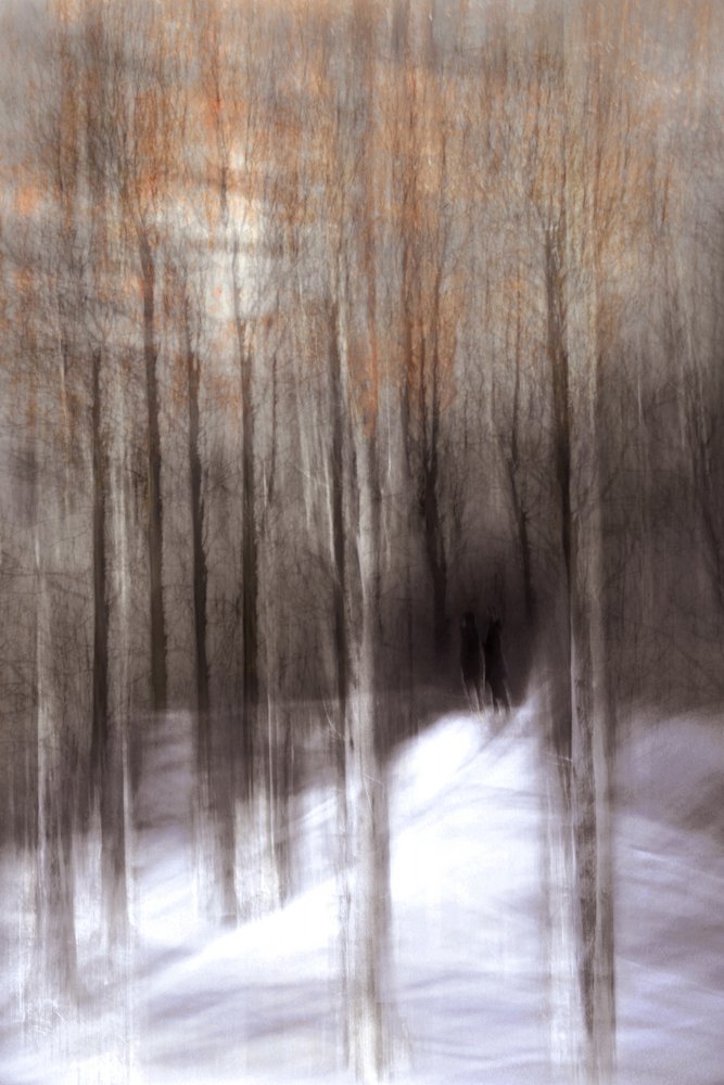 Ätherischer Winterwald von Christina Sillen