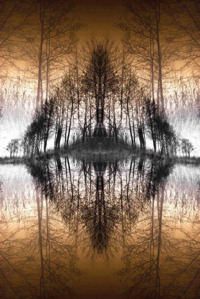 Spiegelnder Waldsee von Christina Sillen