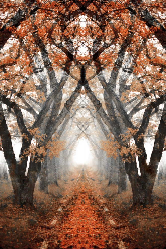 Nebliger Herbstpfad von Christina Sillen