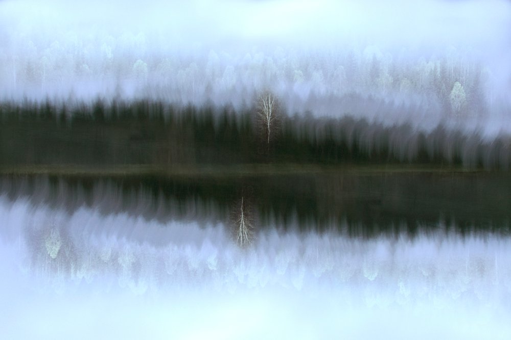 Neblige Birkenreflexion von Christina Sillen