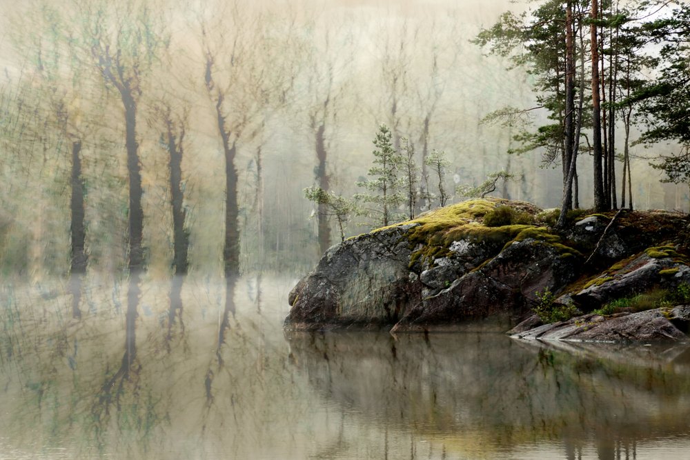 Nebliger Waldsee von Christina Sillen