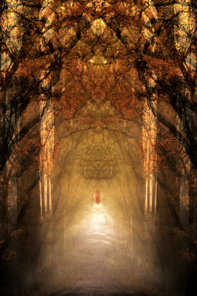 Mystischer Waldtunnel von Christina Sillen