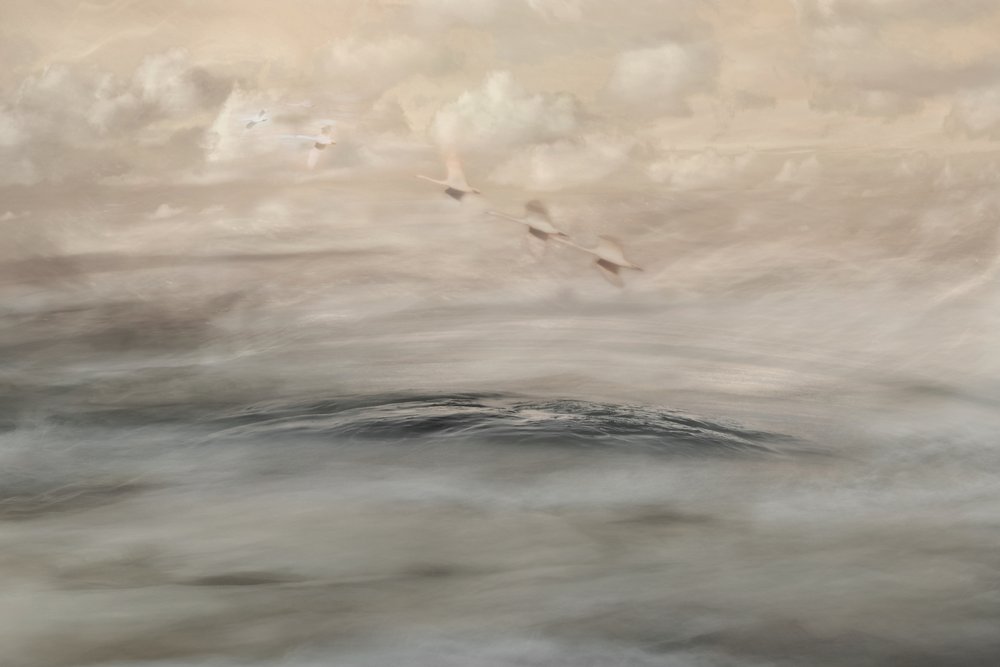 Silberner Dunst von Christina Sillen