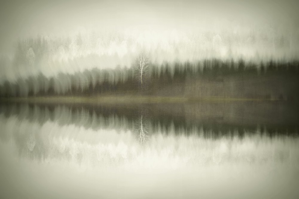 Einsamer Birkensee von Christina Sillen