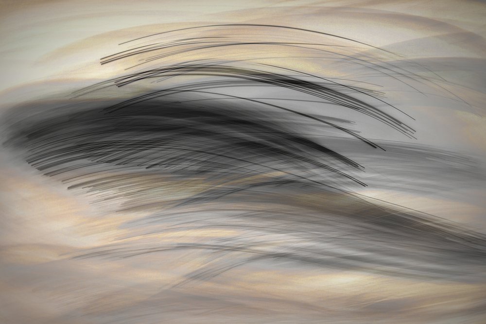 Die Sprachen der Linien von Christina Sillen