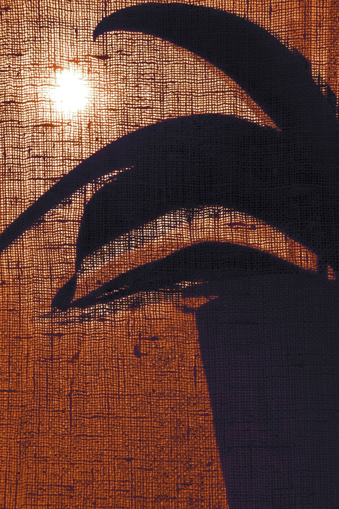 Warme Pflanzensilhouette von Christina Sillen