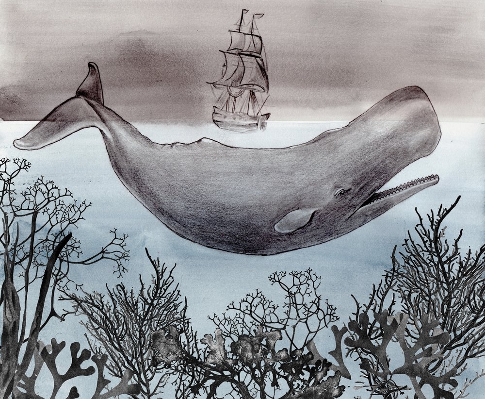 Tiefsee-Wal-Schiff von Christine Lindstrom