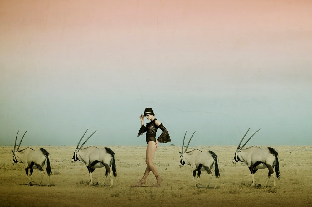 Wüstenwanderung mit Oryx von Christine von Diepenbroek