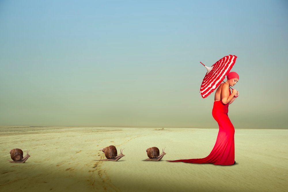Elegante rote Reise von Christine von Diepenbroek