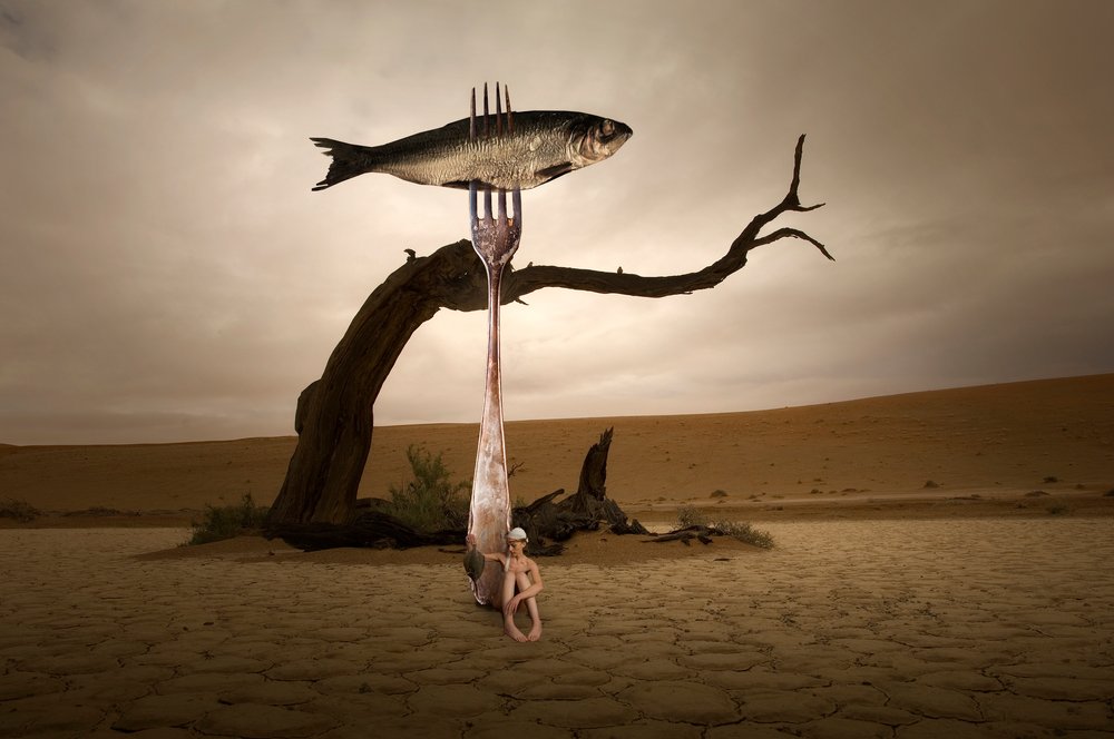 Surrealer Wüstenfisch von Christine von Diepenbroek