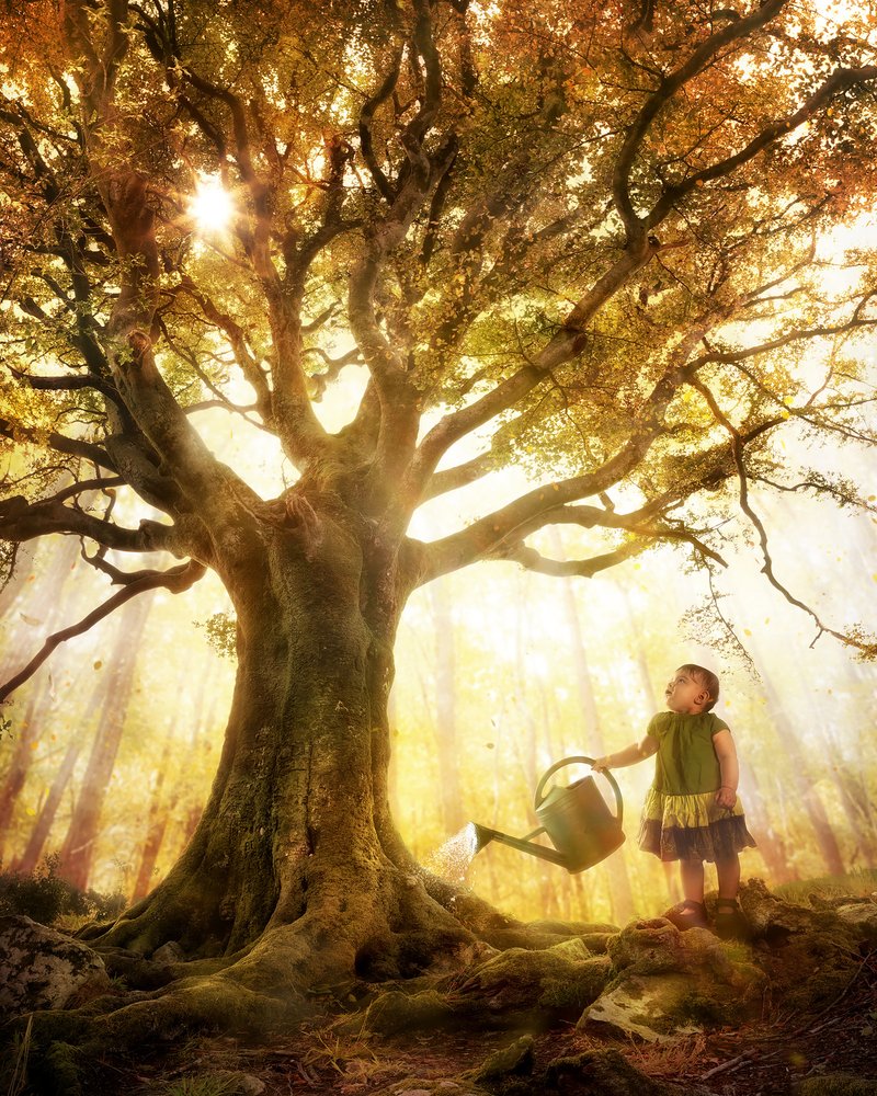 Kind gießt goldenen Baum von Christophe Kiciak