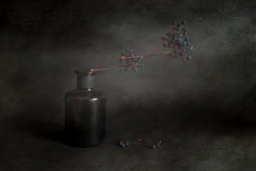 Dunkle Beeren Stillleben von Cicek Kiral