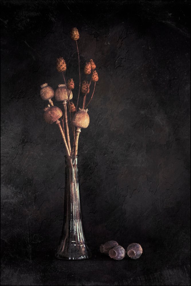 Dunkles botanisches Stillleben von Cicek Kiral