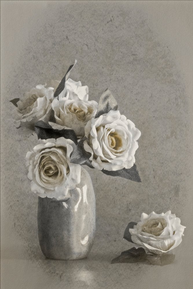 Elegante weiße Rosen von Cicek Kiral