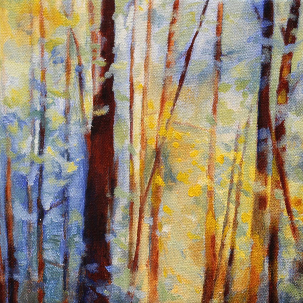 Goldenes Waldlicht von Claire Whitehead