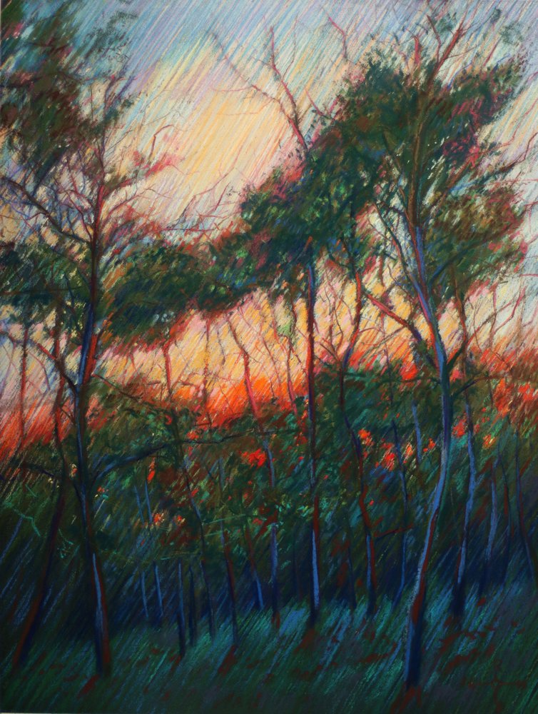 Wald Sonnenuntergangsglanz von Corné Akkers