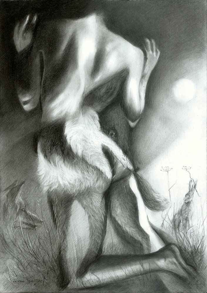 Mondschein-Dachs-Transformation von Corné Akkers