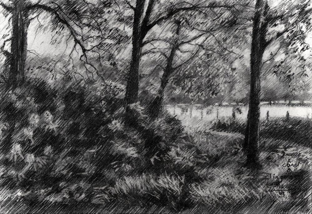 Friedlicher Waldsee von Corné Akkers