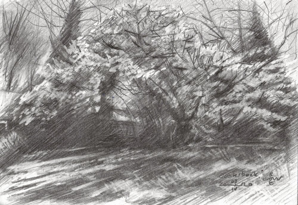 Sonniger Waldweg von Corné Akkers