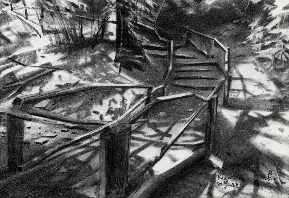 Gewundene Waldtreppen von Corné Akkers