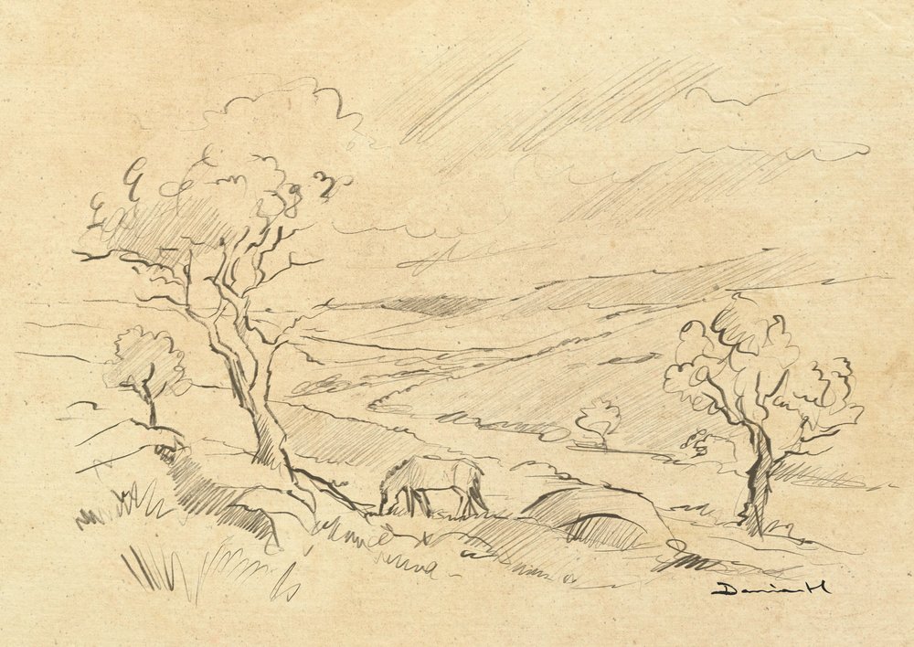 Dartmoor-Pony von Dan Hobday