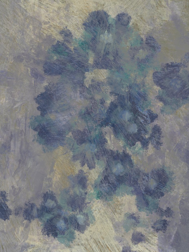 Neblige Blumen 1 von Dan Hobday