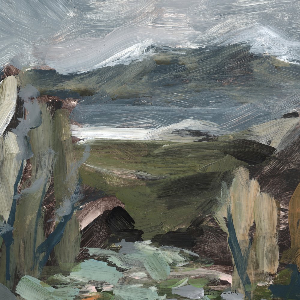 Schweizer Aussicht von Dan Hobday