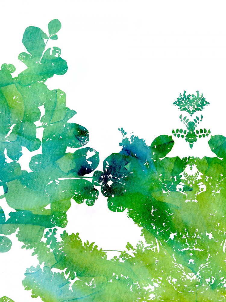Lebendige Aquarellblätter von Danushka Abeygoda