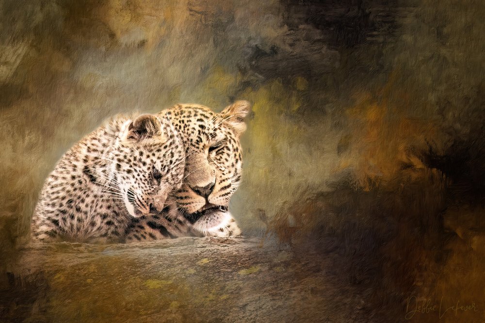 Leopardenfamilie Zärtlichkeit von Debbie Lefever