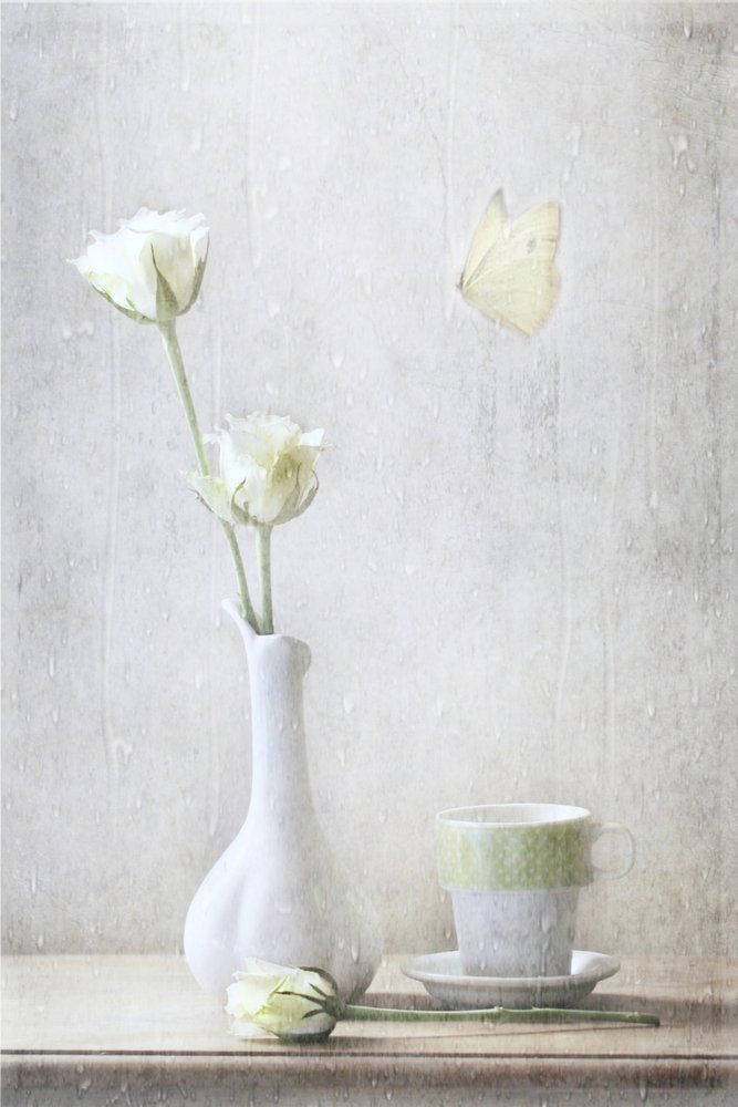Zarte Rosen und Schmetterling von Delphine Devos