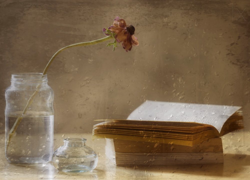 Melancholische Blüte und Buch von Delphine Devos